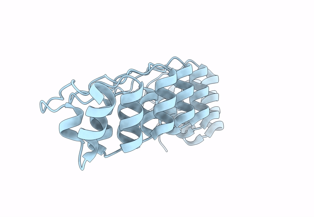 7VXV image