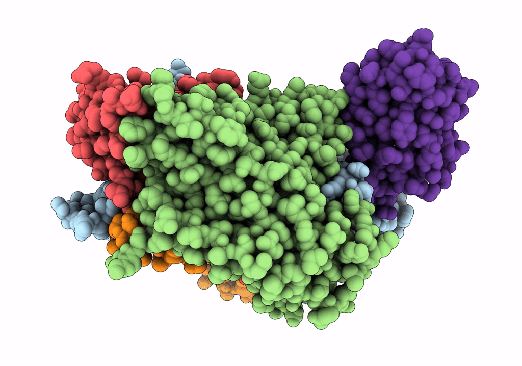 7VYM image