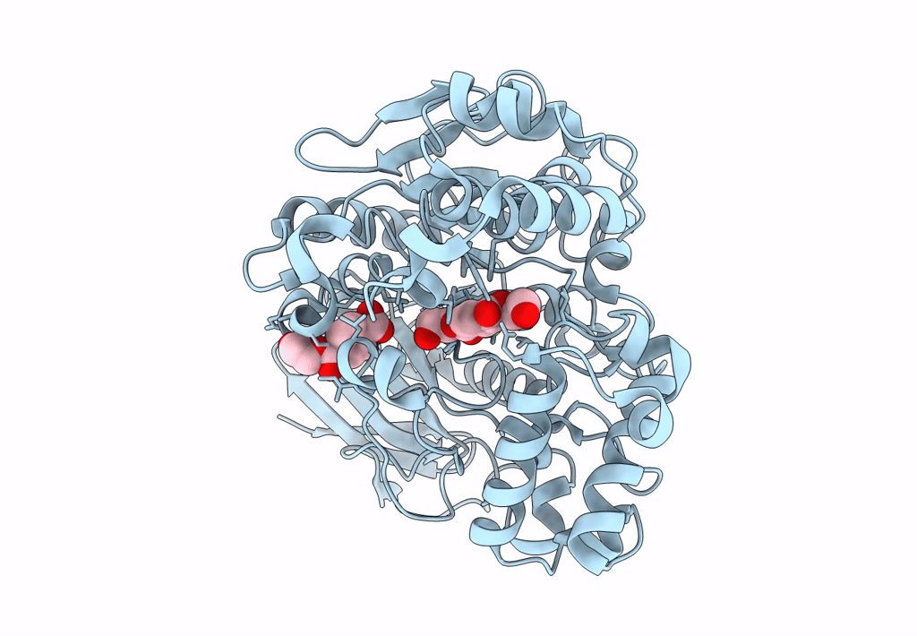 7W1I image