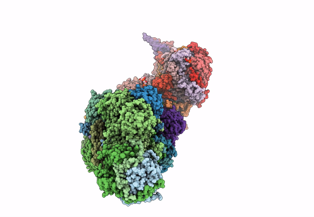 7W1O image