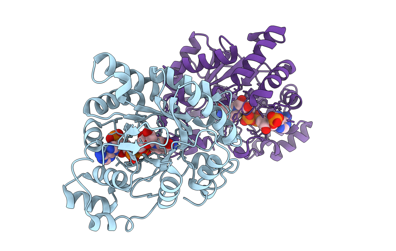 7W1X image