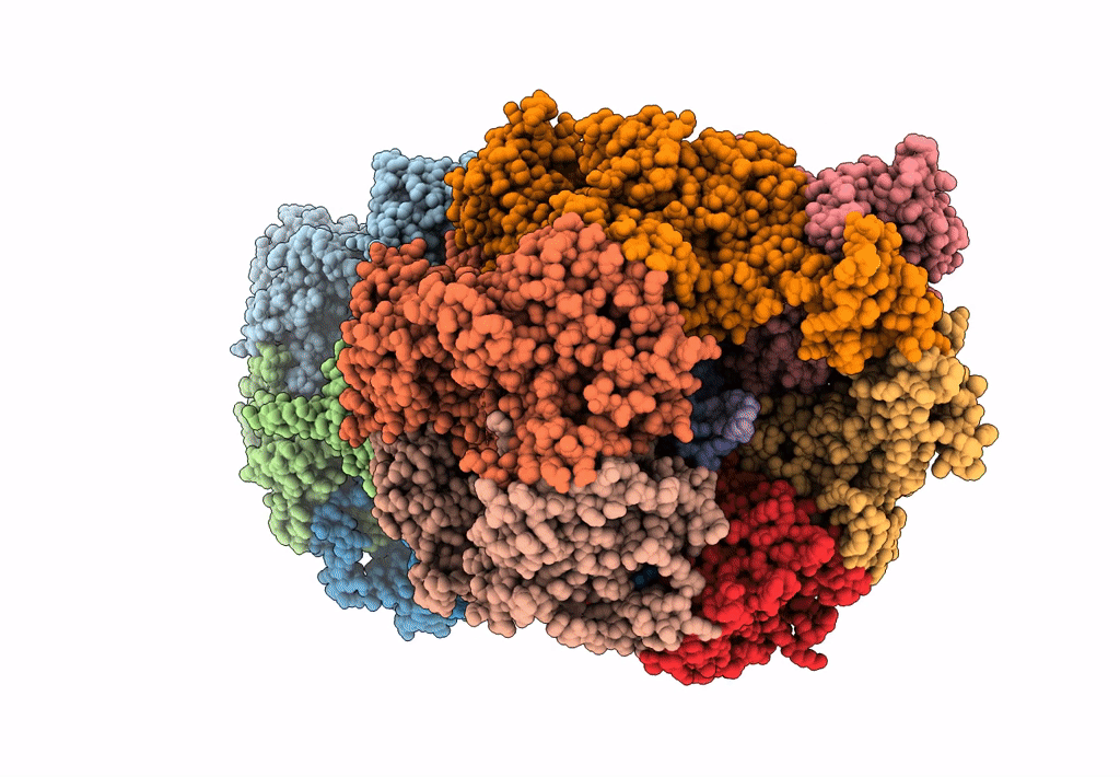 7W1Y image