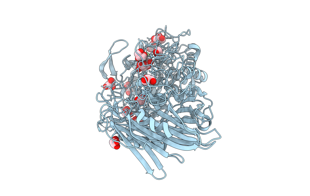 7W2S image