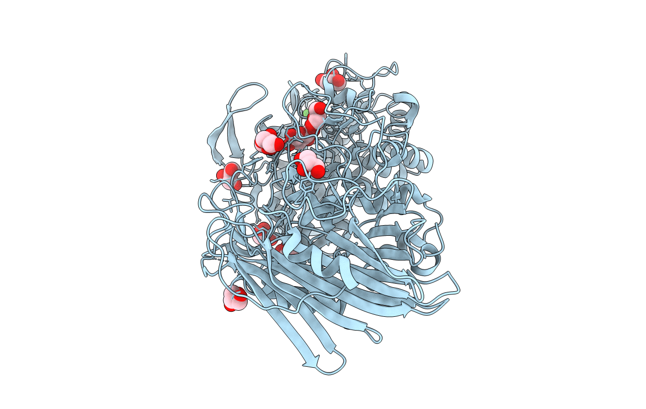 7W2V image