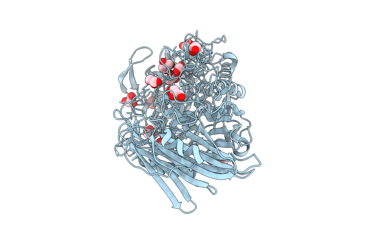 7W2X image