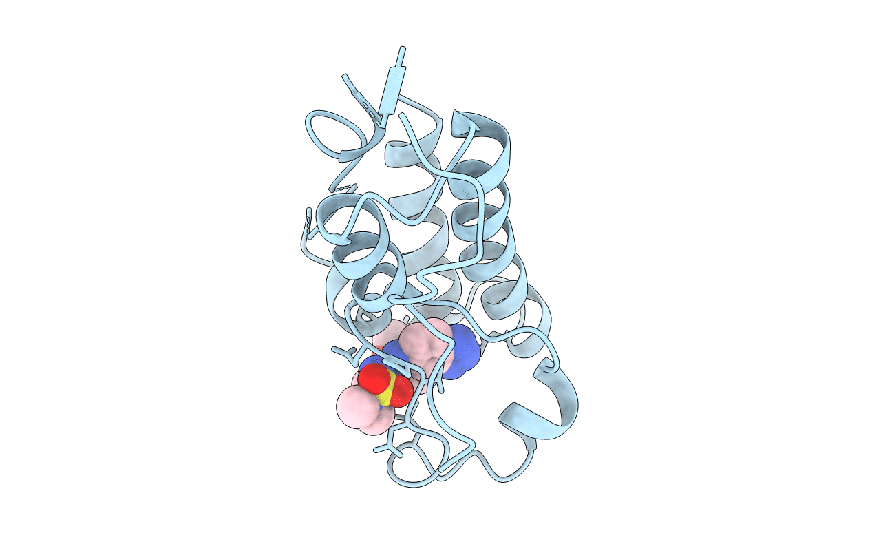 7W3D image