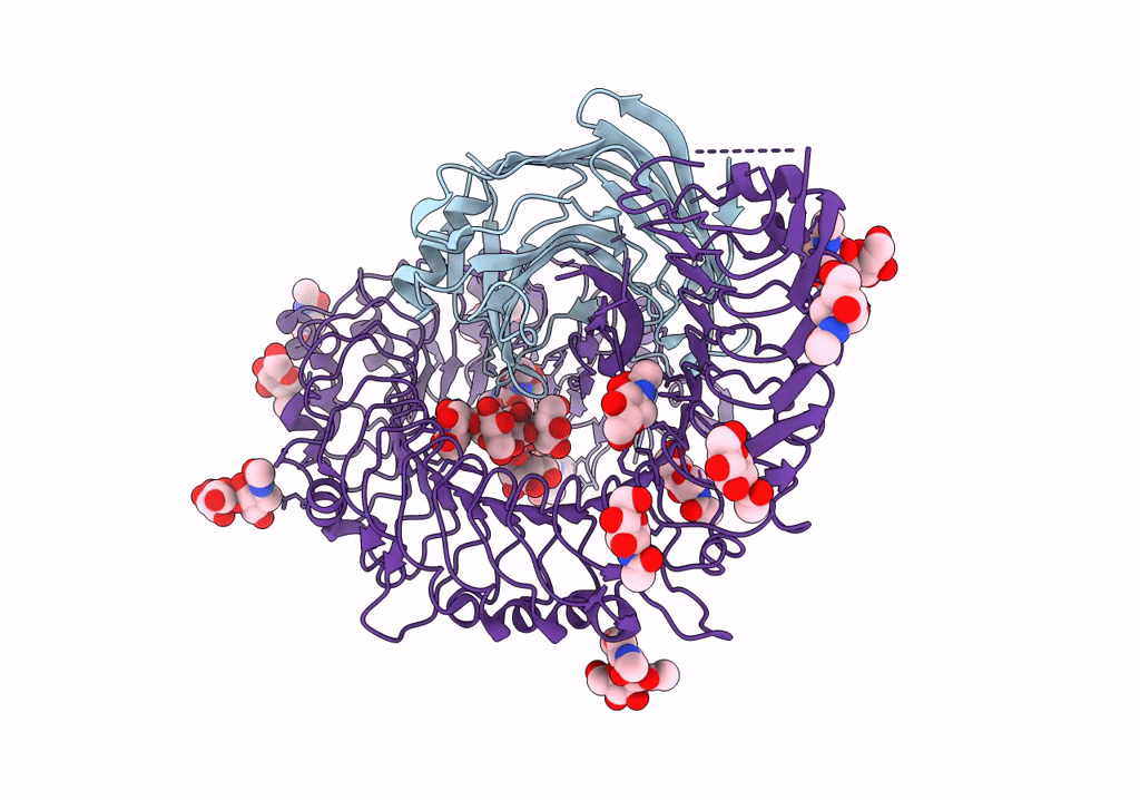 7W3V image