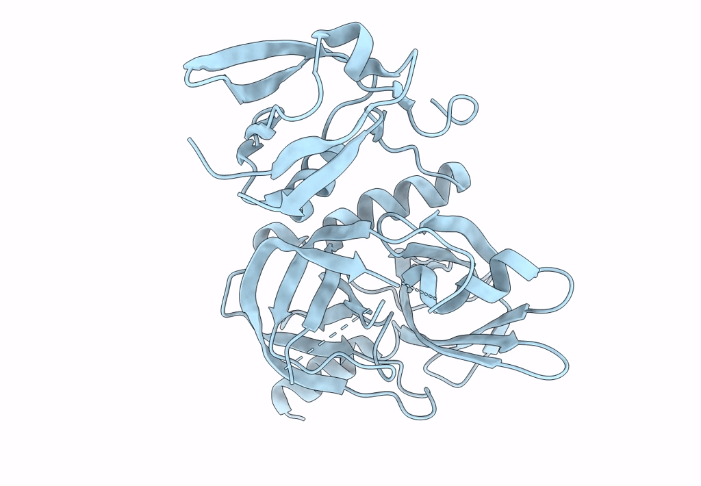 7W4T image
