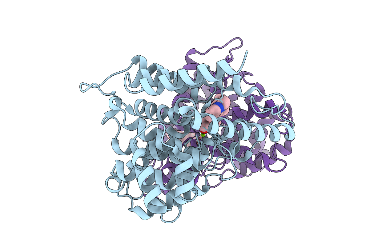 7W4X image