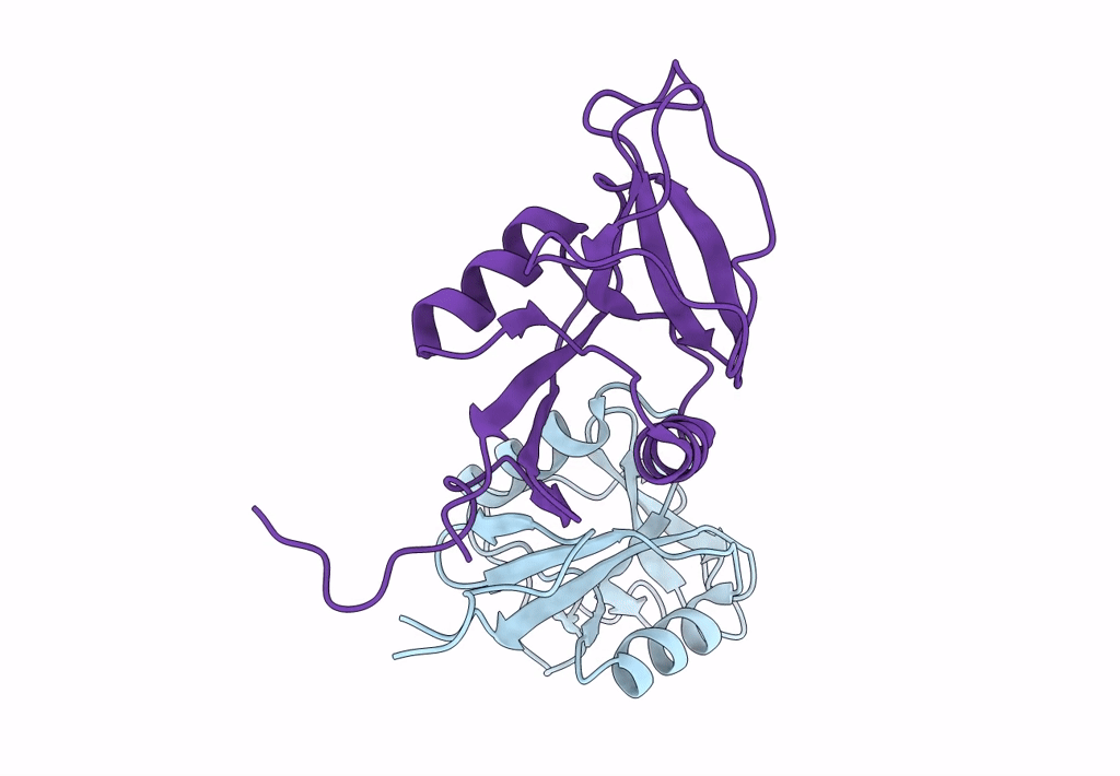 7W5D image