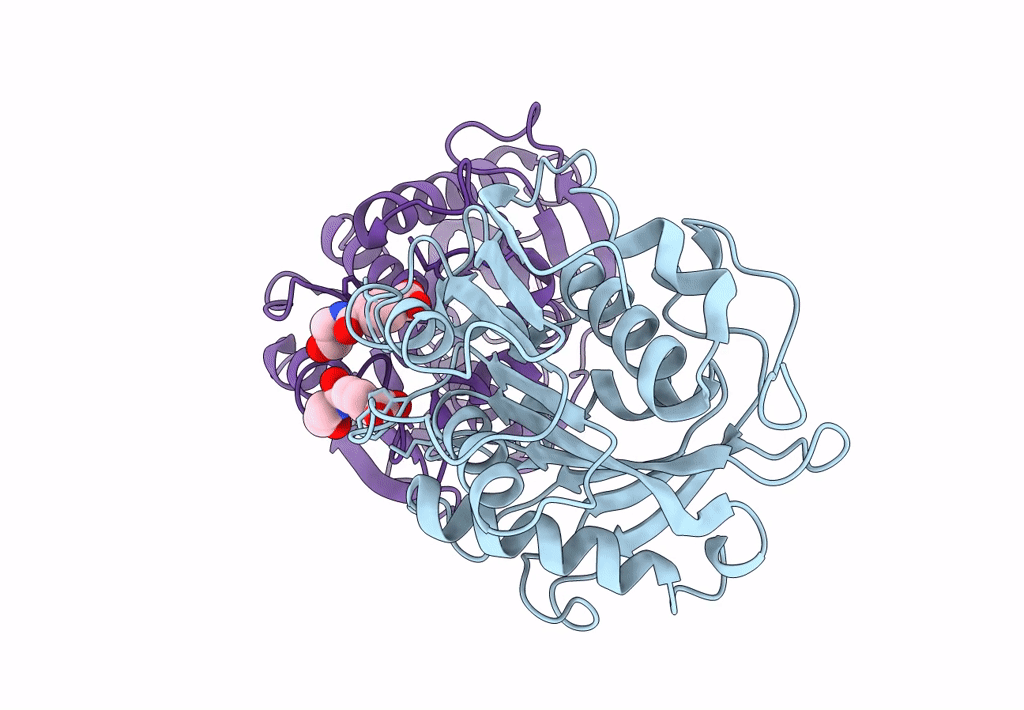 7W6C image