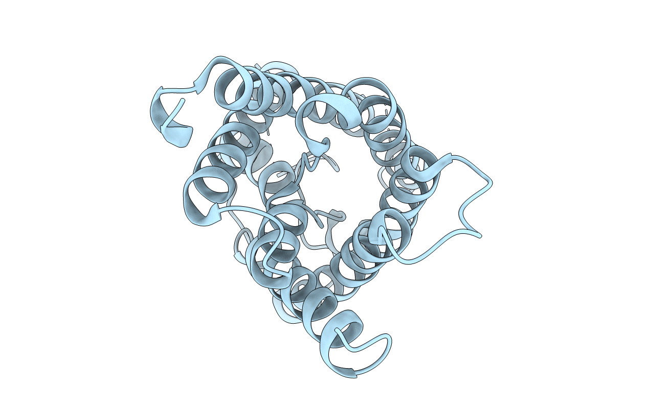 7W7S image