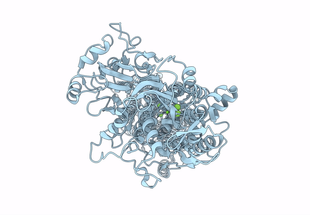 7W7T image