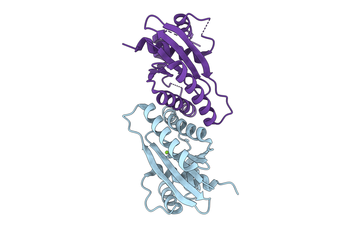 7W8D image