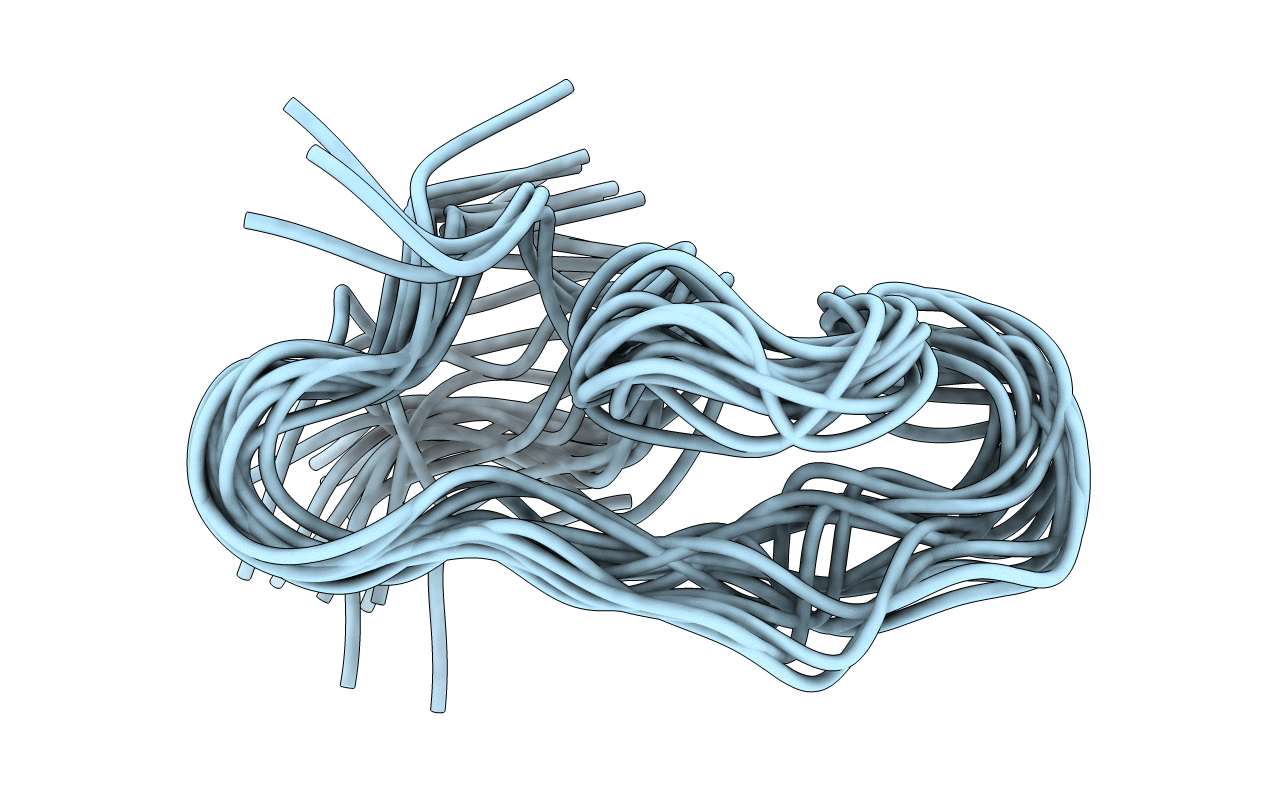 7W8T image
