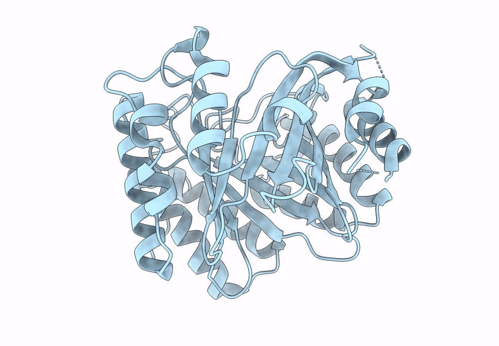 7W8U image