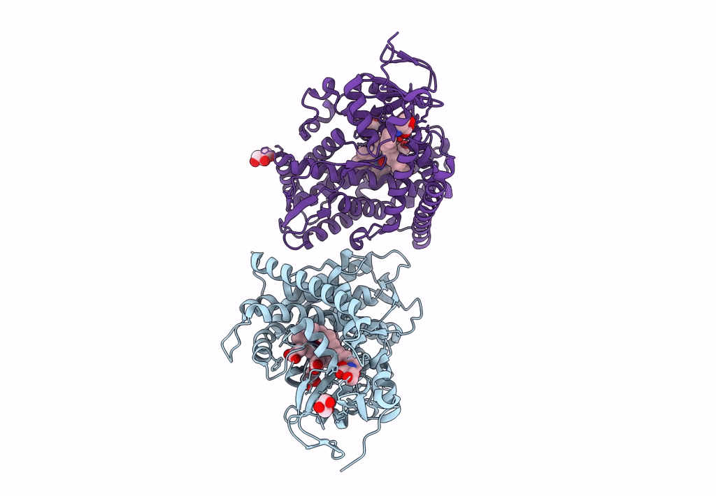 7W9D image