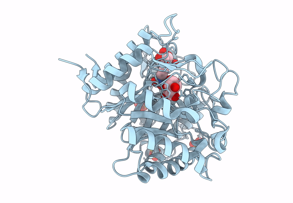 7WDR image
