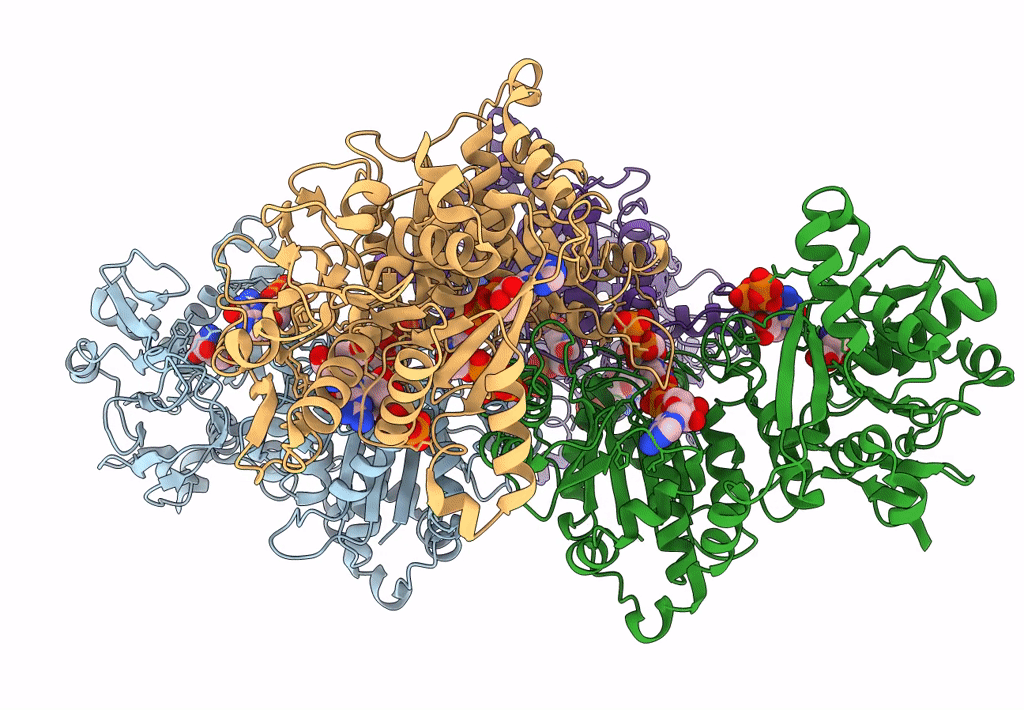 7WJ4 image