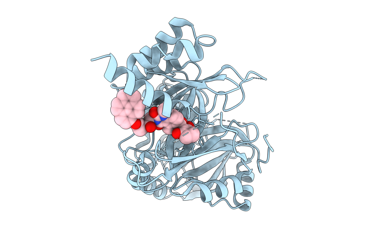 7WJ8 image
