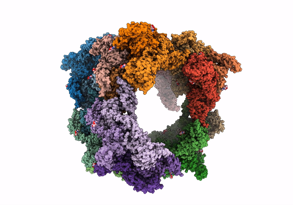 7WPS image