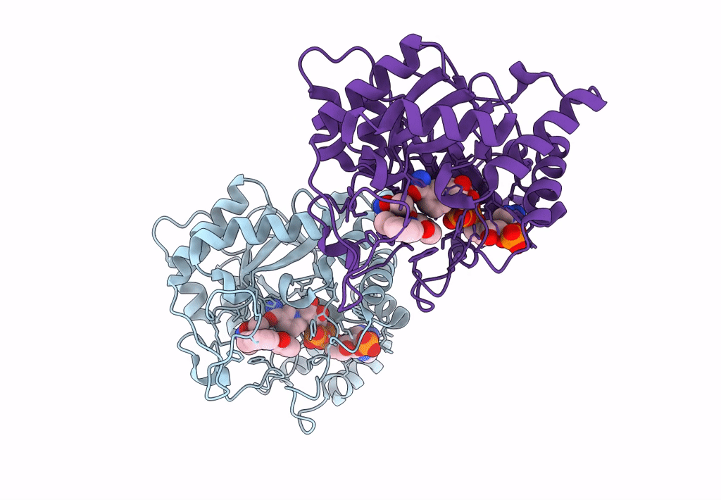7WQM image