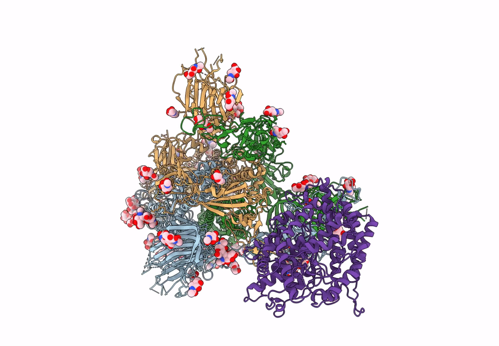 7WRH image
