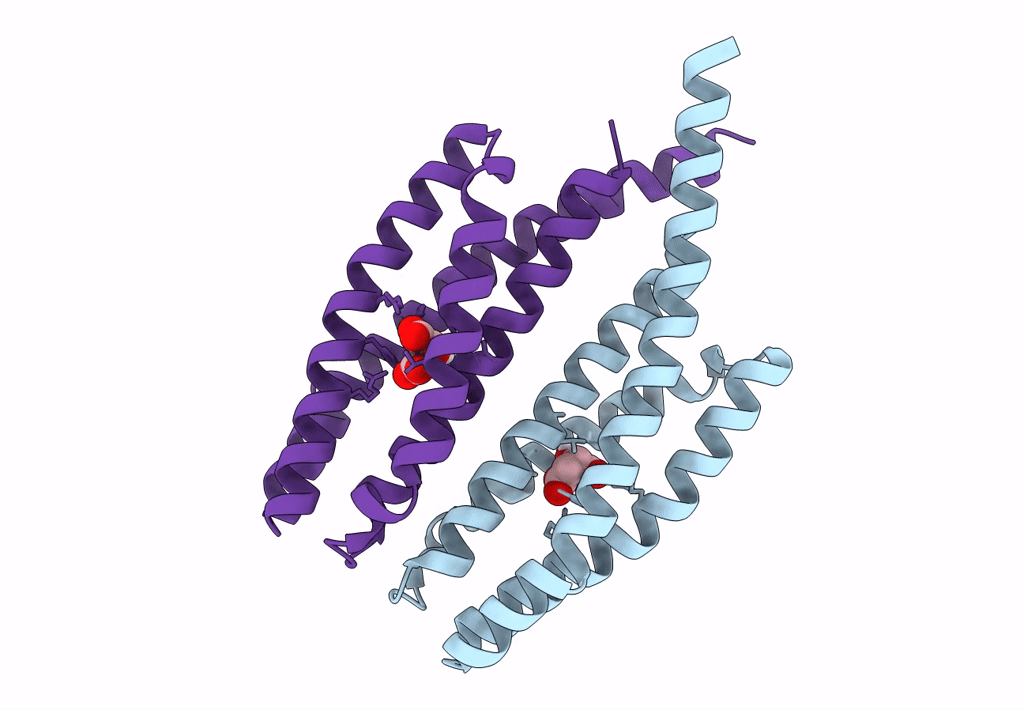 7WRM image