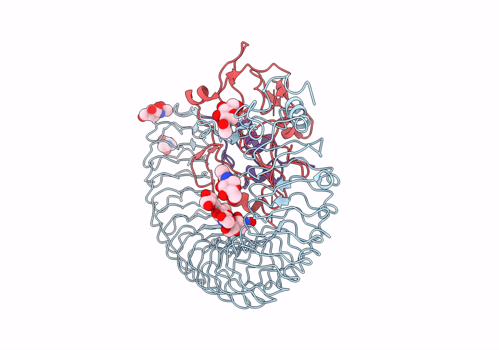 7WRQ image