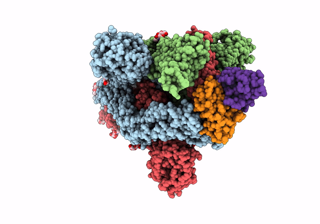 7WS4 image