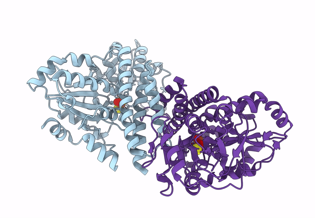 7WSX image