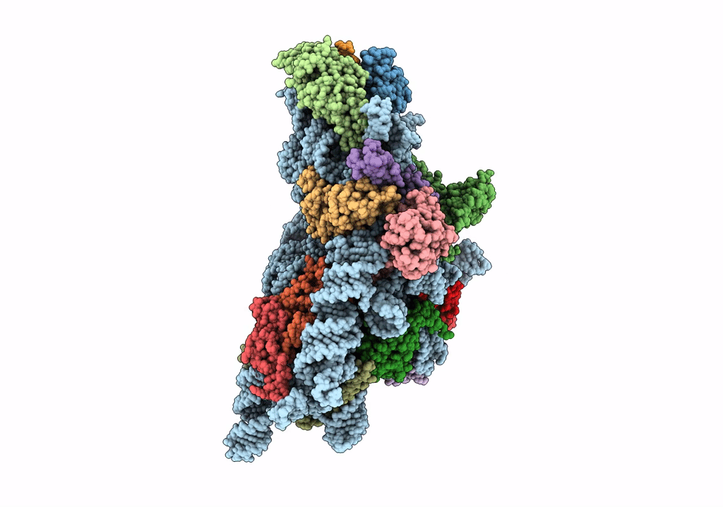 7WTP image