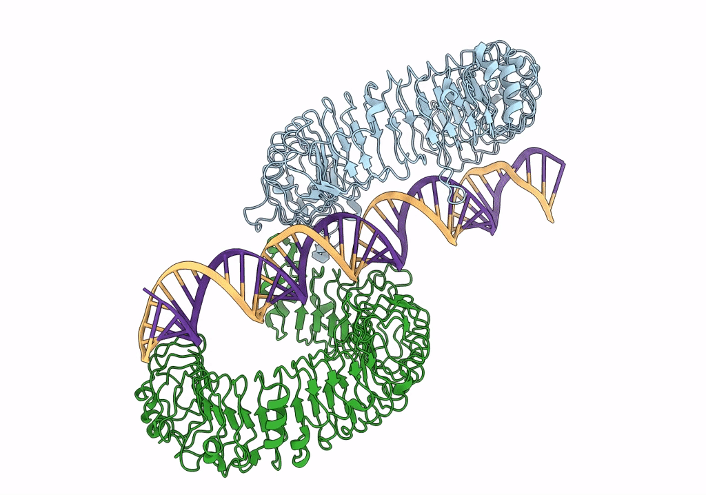 7WVJ image