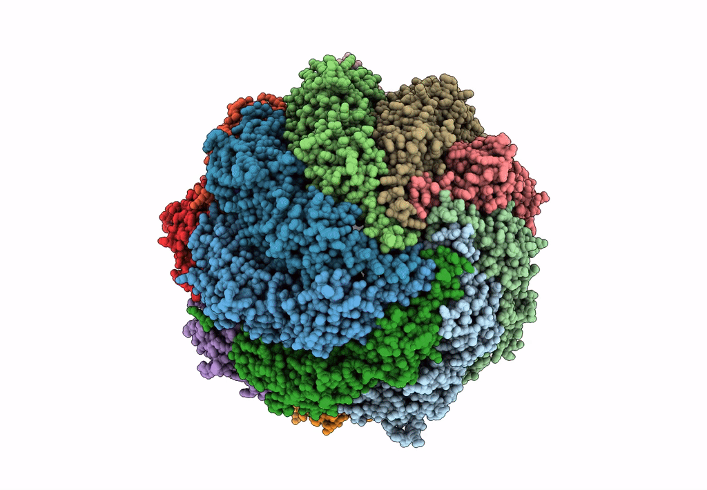7X0V image