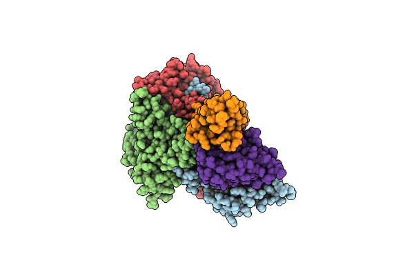 7X35 image