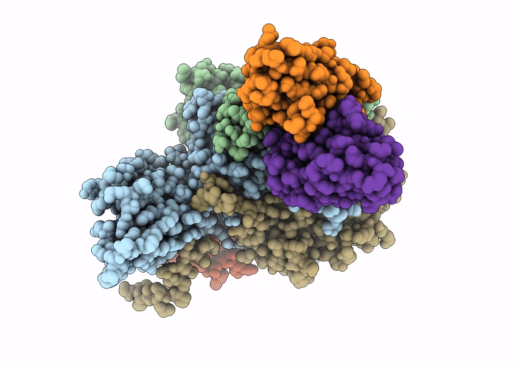 7X3E image