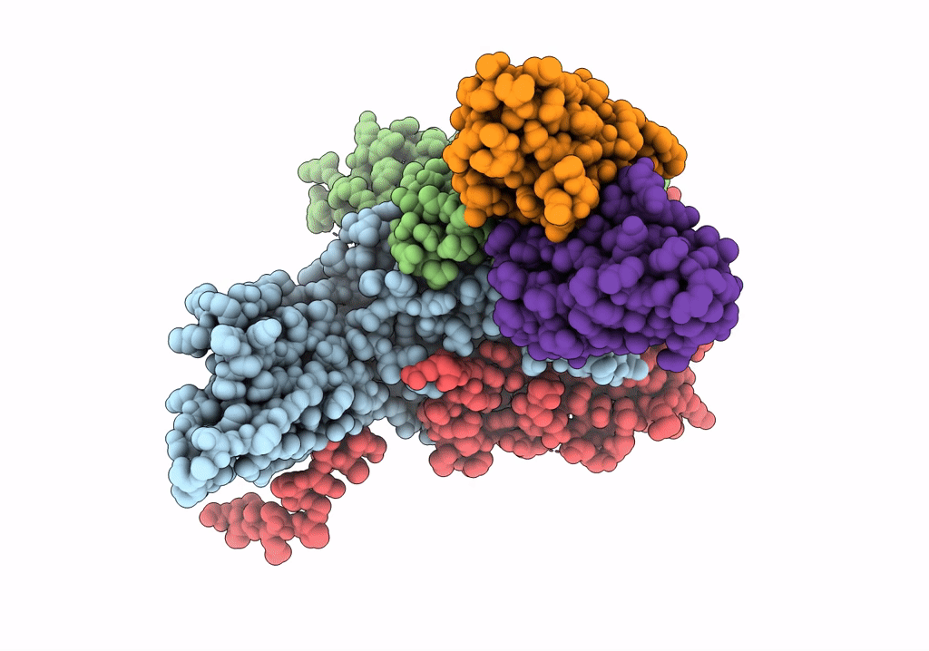 7X3F image