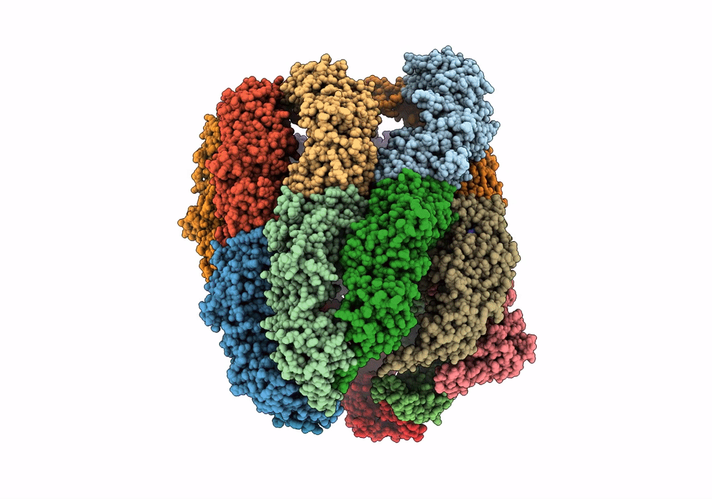 7X3J image