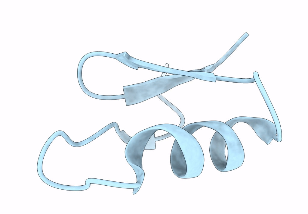 7X4D image