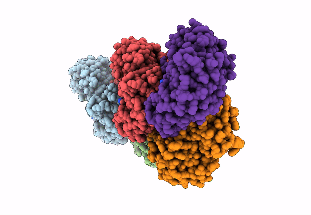 7X54 image