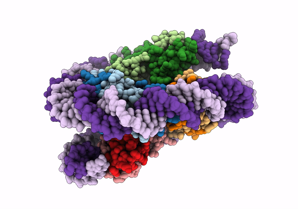 7X57 image