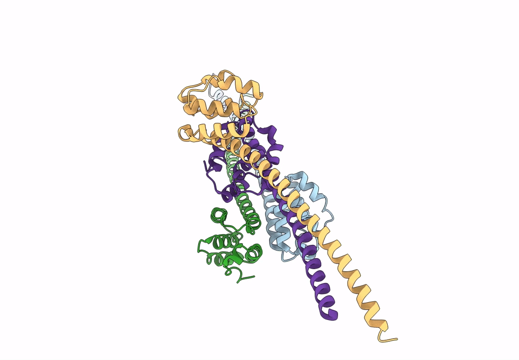 7X6H image