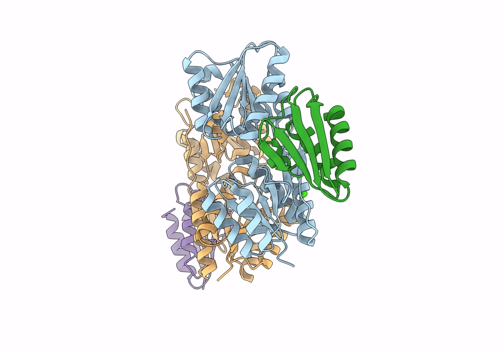 7X7H image