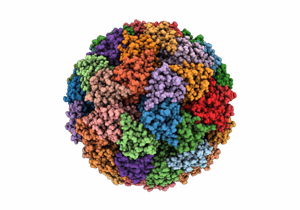7X7M image