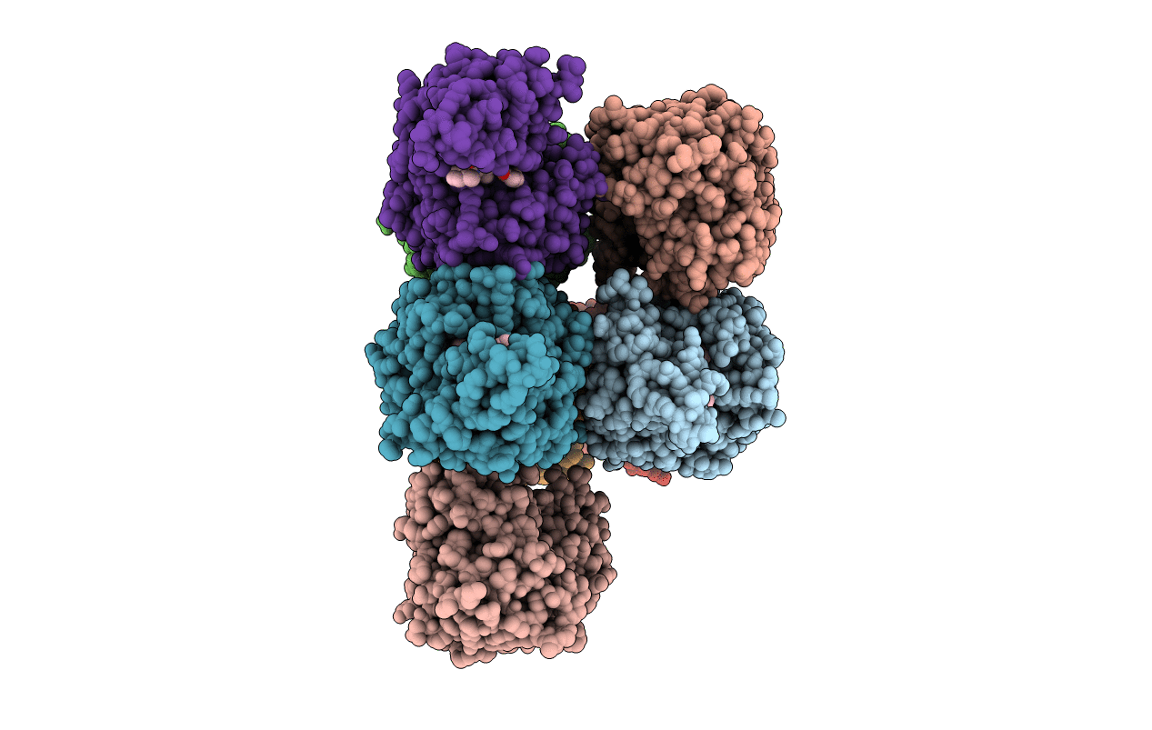 7X8E image