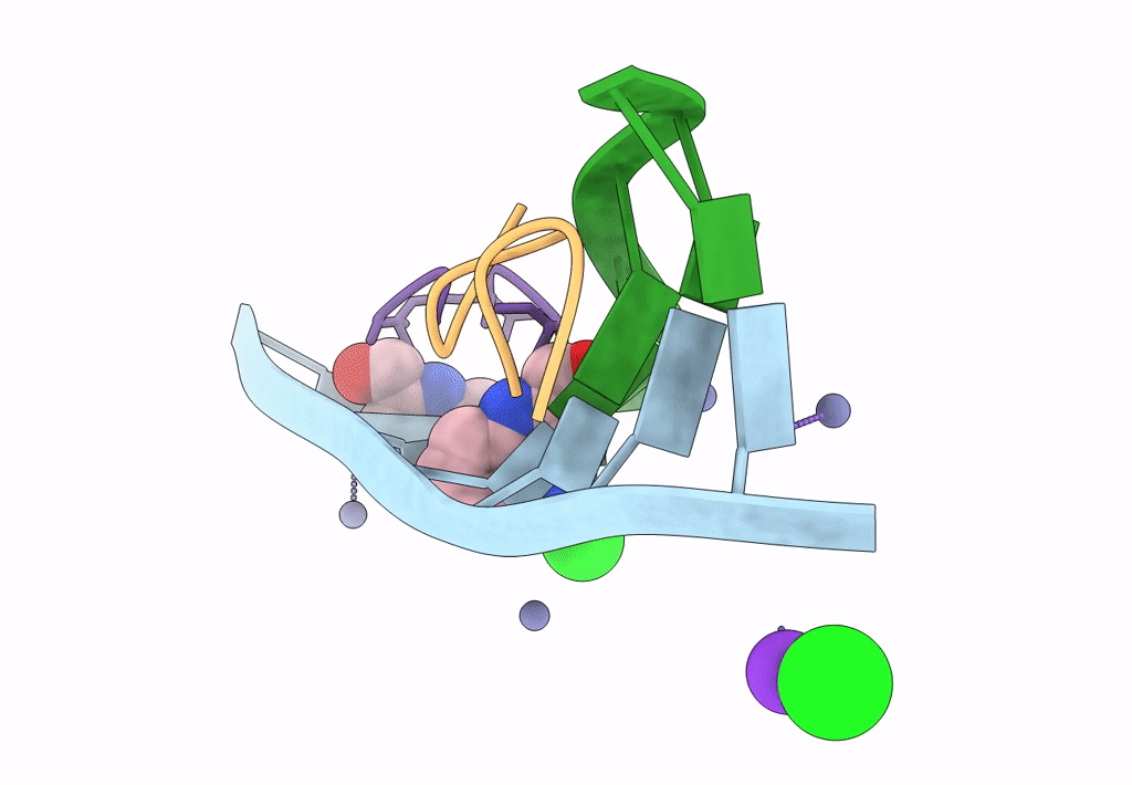 7X97 image