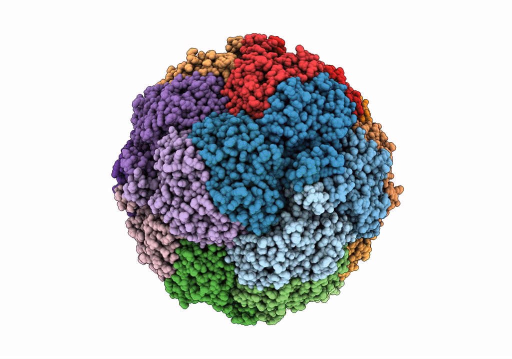 7X9W image
