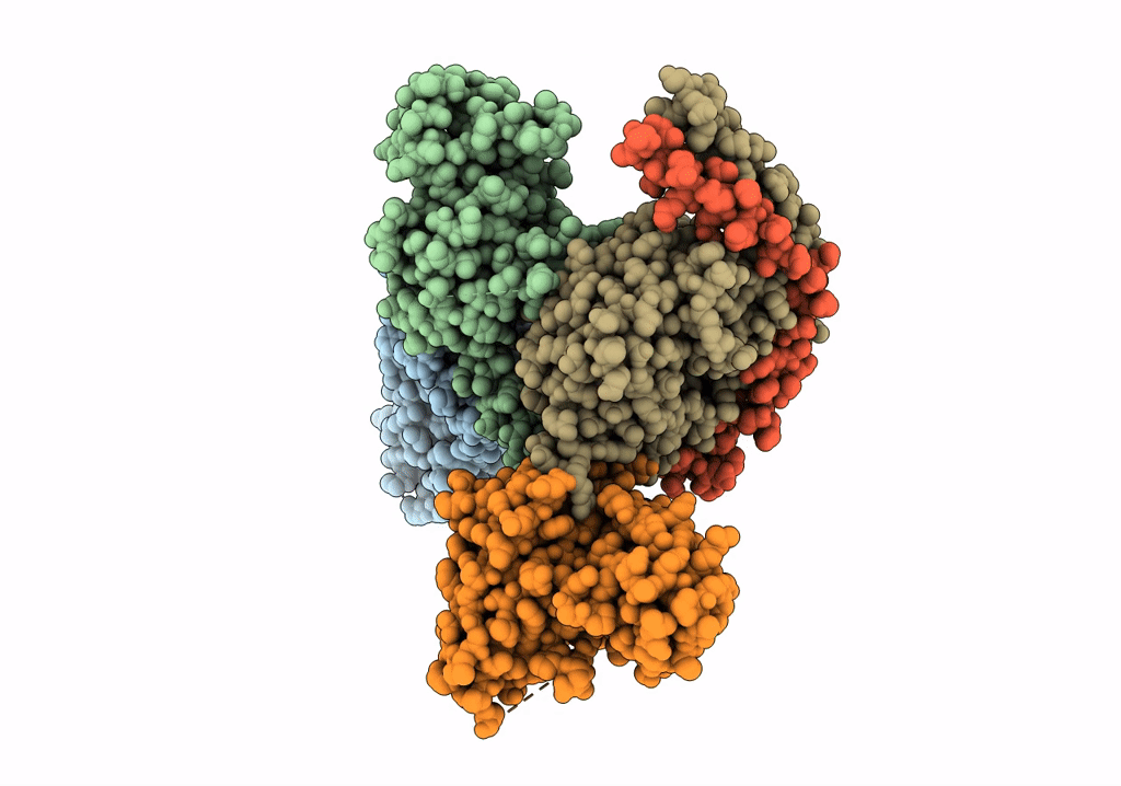 7XAV image