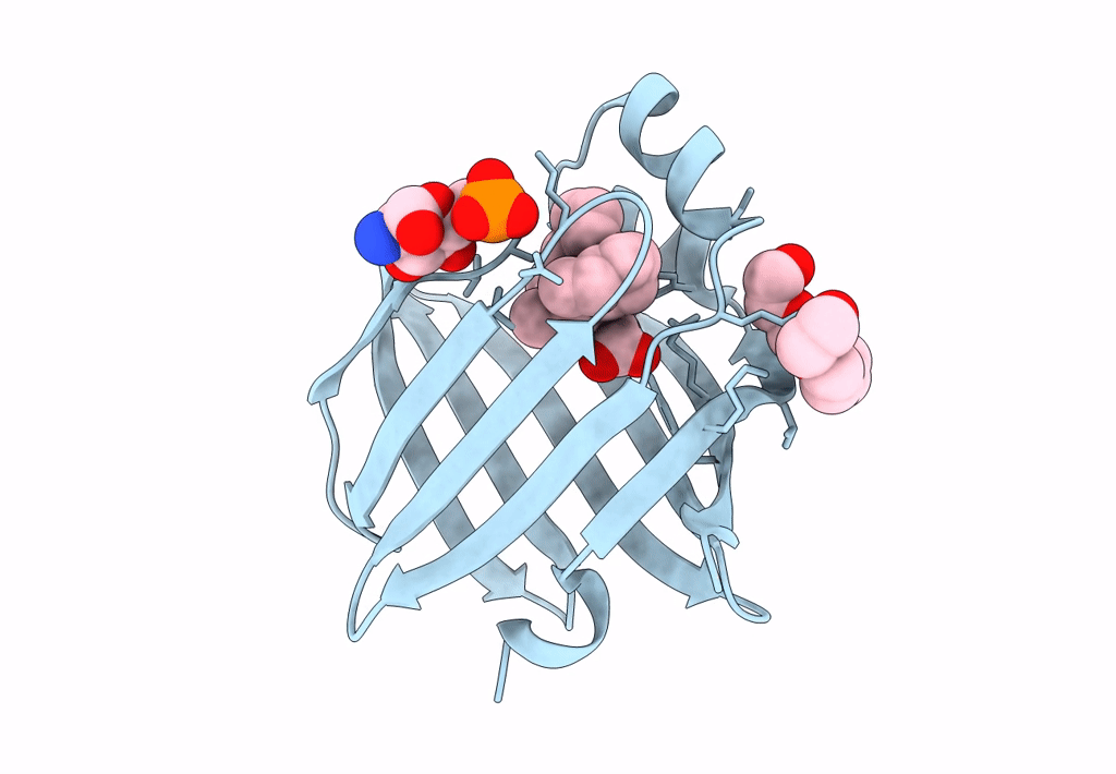 7XBC image
