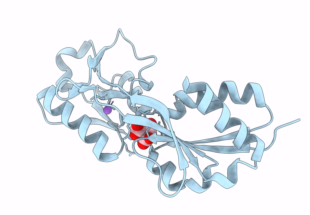 7XBE image